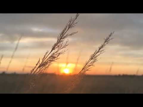 rudiath kisah cinta yang pertama😣