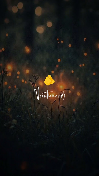 Kattikida 💞 whatsapp status video song 🎧 love status tamil 💞 lyrics status video tamil