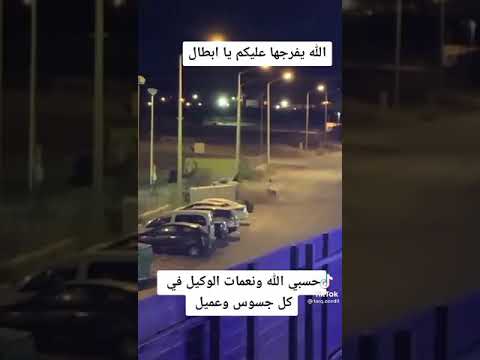 هروب زكريا من الإحتلال