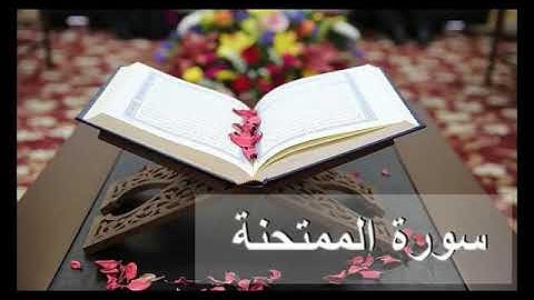 سورة الممتحنة تلاوة الشيخ عبدالله الخلف