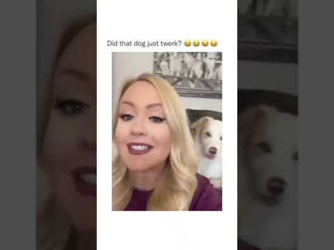 Dog TwerkingReels Viralshorts Instagram Comedy Dogdancing