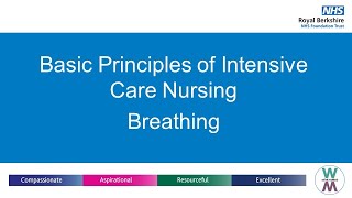 Basic Principles of Intensive Care Nursing, Breathing screenshot 5