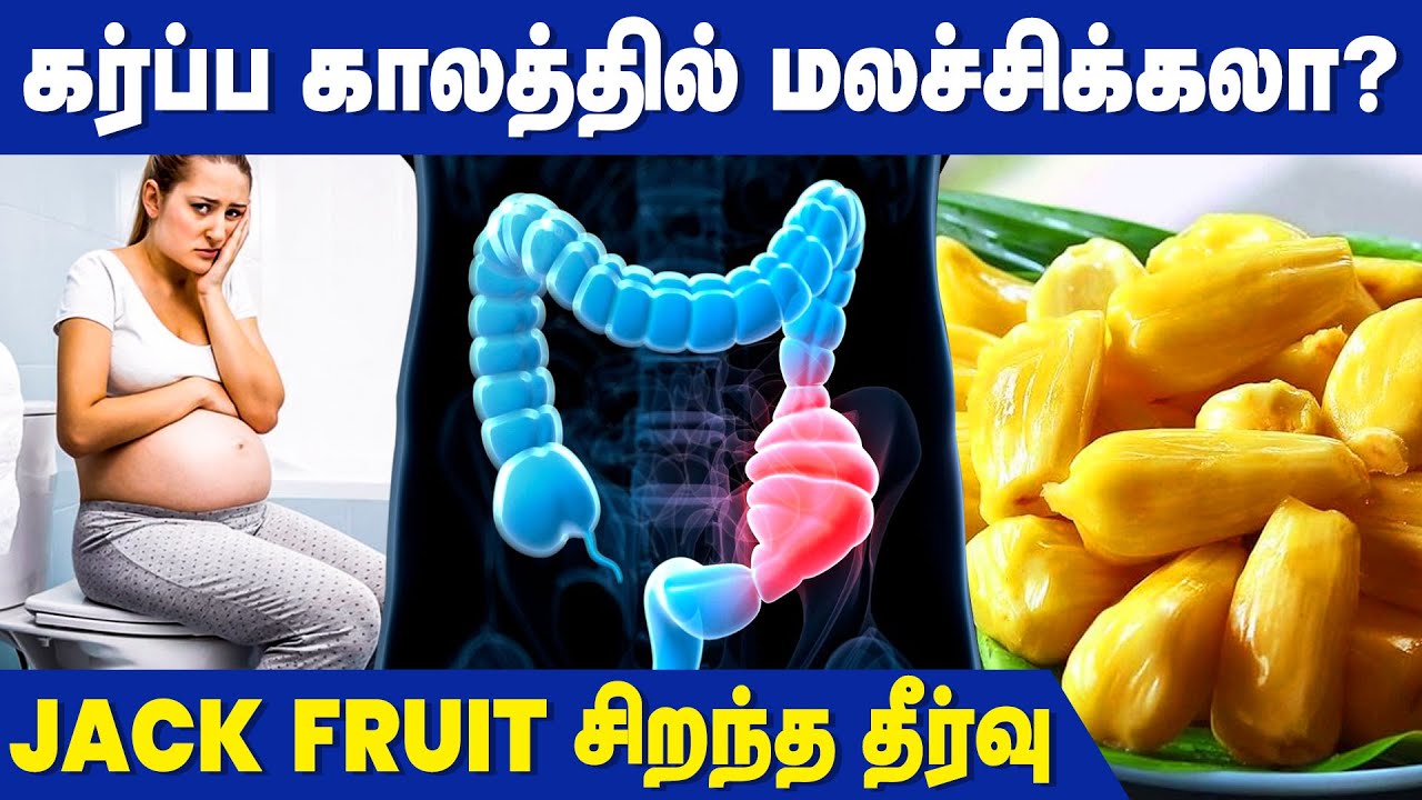 Benefits of Eating Jackfruit During Pregnancy Constipation YouTube