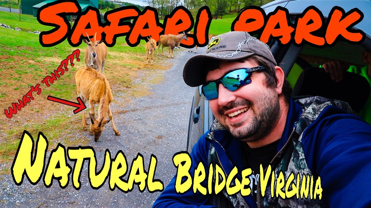 Natural Bridge Virginia safari park YouTube
