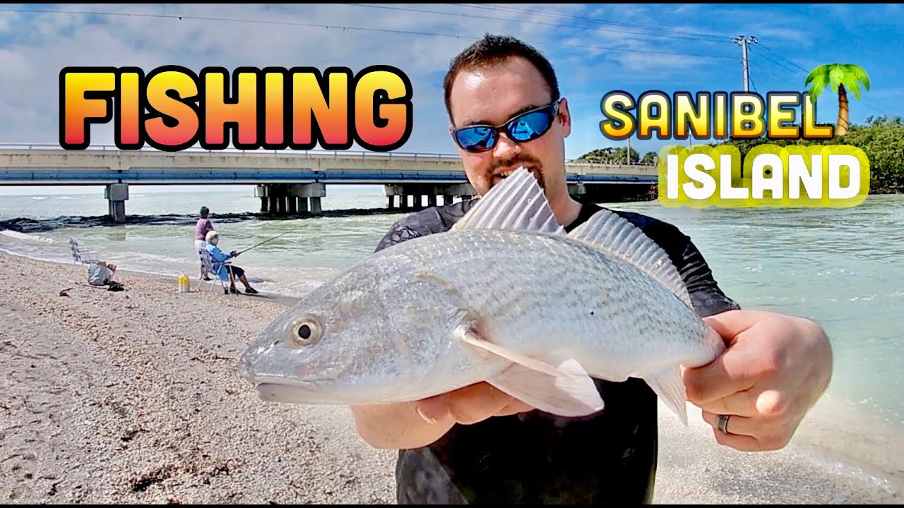 Shore Fishing Florida (Sanibel & Captiva Island) YouTube