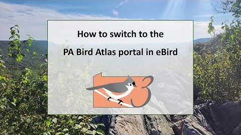 How to Switch to the PA Bird Atlas Portal in eBird