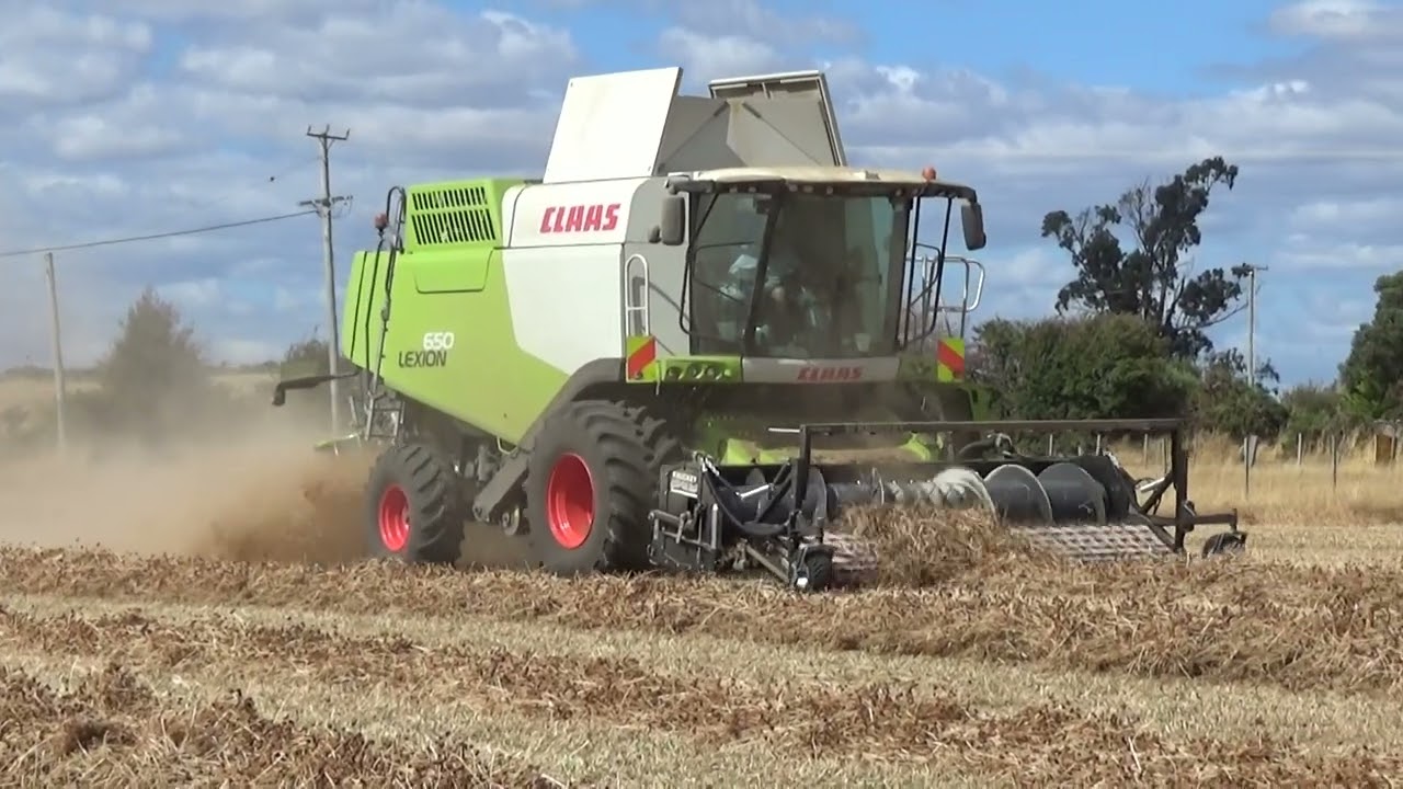 Melton Vale White Clover Seed Harvest 2026 Part 1