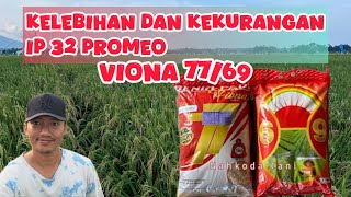Advantages and Disadvantages of Inpari 32 Promeo / IP 32 Promeo Rice