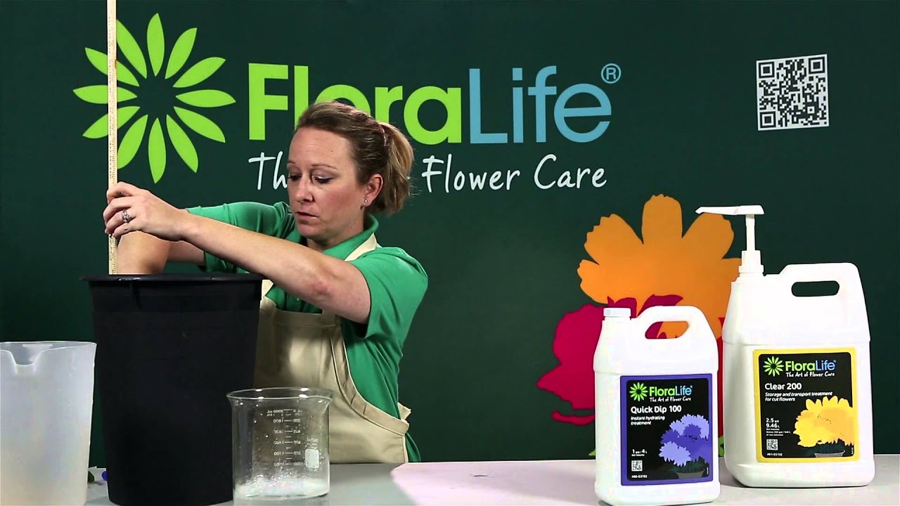 Hydrating Flowers with Floralife® Quick Dip and Flower Food for Flower Care  