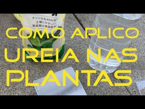 Vídeo: O Uso Da Ureia Como Fertilizante Para Flores: As Flores De Jardim E De Interior Podem Ser Regadas? Como Diluir Para Alimentação E Como Alimentar?