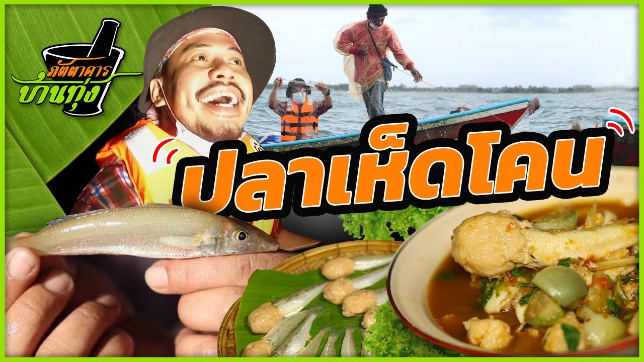 ปลาเห็ดโคน : ภัตตาคารบ้านทุ่ง