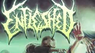 Enfleshed - Code Injection TEASER
