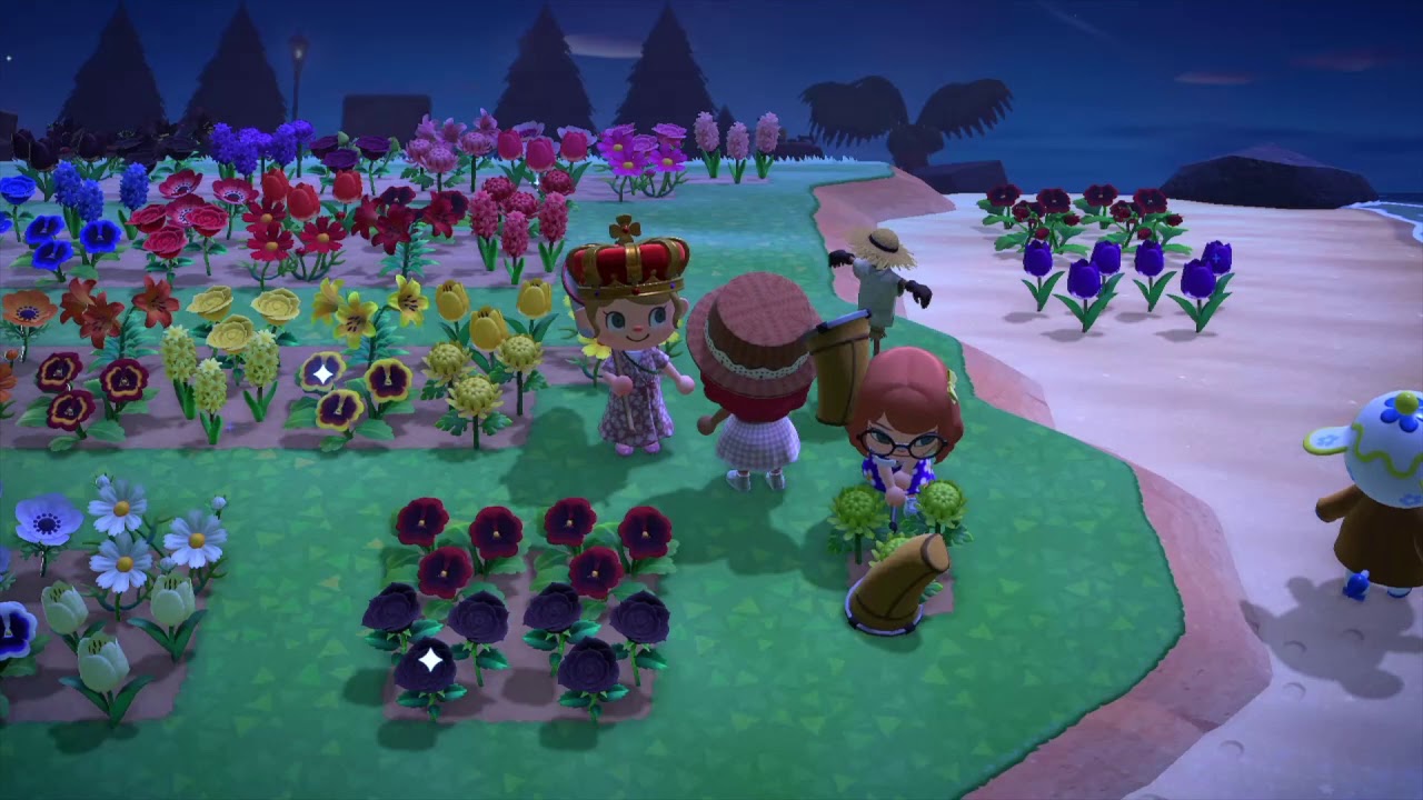 ACNH Flower Gang YouTube