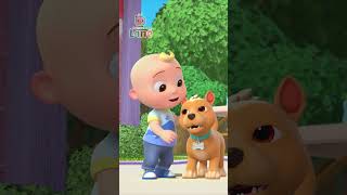 Do the Puppy Shake with Bingo! CoComelon Lane #shorts #netflix