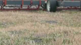 molehillvideo