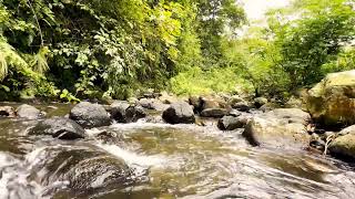 Calming Sound of Turquoise Mountain River. Nature Sounds, Flowing Water, White Noise for Sleeping.