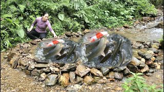 The Girl Used Rocks To Create A Surprisingly Beautifuleffective Fish Trap.