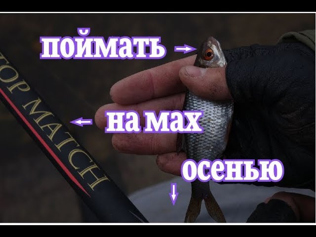 Ловля плотвы, глубокой осенью.