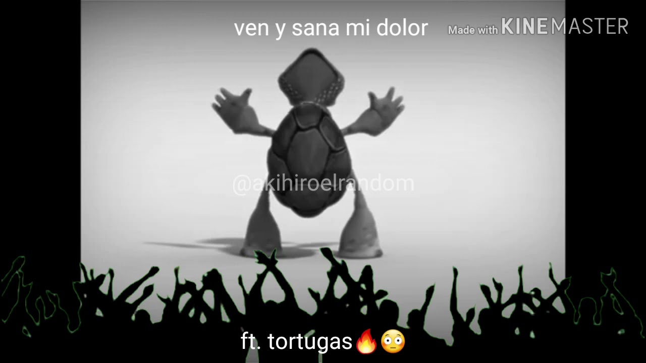 Tortugas cantando: Ven y sana mi dolor - YouTube