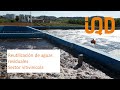 Depuración de aguas residuales de bodegas para su reutilización. IQD INVESQUIA