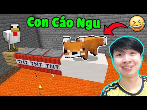 Vinh Thử Độ Ngu Của Con Cáo Tập 4 : TẤT CẢ ĐỘ THÔNG MINH CỦA ĐỘNG VẬT TRONG MINECRAFT* Nhảy Hay Quá