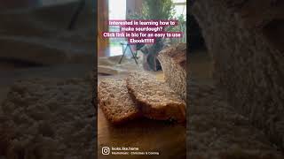 Multigrain sourdough sandwich bread!