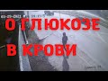 Дима Новоженин. Важная информация о глюкозе в крови