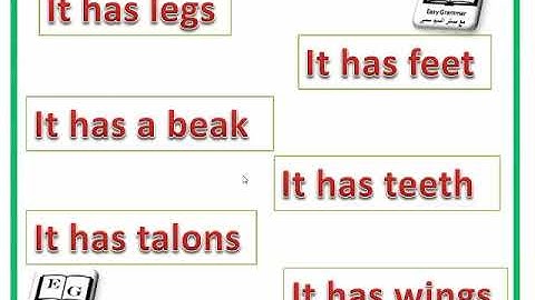 connect plus primary 2 unit 2 part 1 كونكت بلس الصف الثانى الوحدة الثانية الجزء الاول