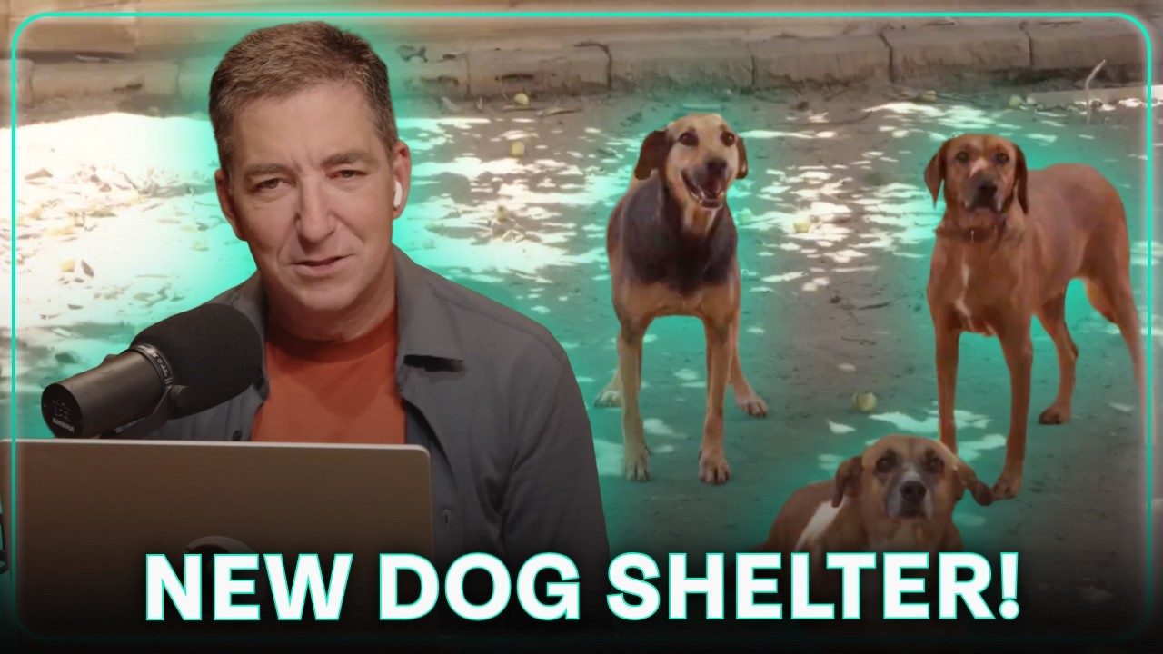 WATCH: Lots of New Dogs To Be Saved at Our UPDATED Shelter Here in Brazil!