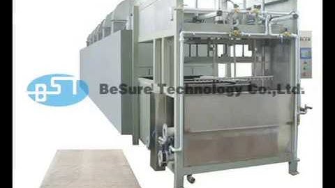 BST Pulp Molding Machine Card board production line