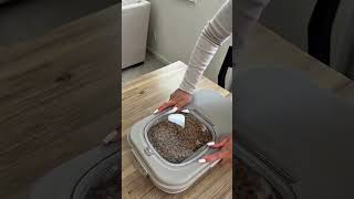 DDMOMMY vs. The Classic Bucket: There’s No Going Back #amazon #home #organization  #amazonfind #pet