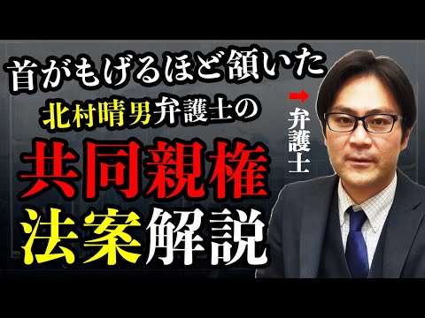 北村晴男弁護士の『共同親権法案』解説が素晴らしい／ついに未来保守政党が誕生