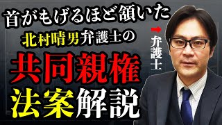 北村晴男弁護士の『共同親権法案』解説が素晴らしい／ついに未来保守政党が誕生