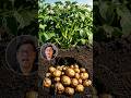 How to Create a Plan Growing Video #ai #shorts