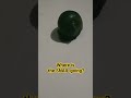 Where is the SNAIL going? #snail #oddlysatisfying #shortstrend #absurdhumor #mudcreator