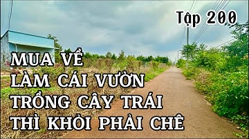 anh HẢI rao bán gần 3 sào đất vườ phủ hồng thổ cư màu mỡ ở bà rịa vũng tàu