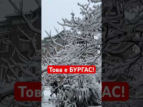 СНЯГ 2025 Bulgaria зима