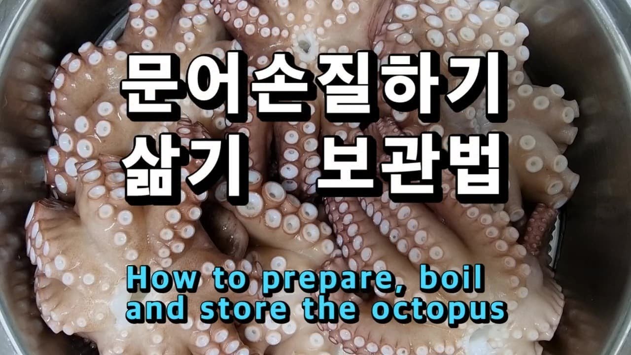 문어손질하기 돌문어삶는법 자숙문어만들기 냉동보관법 돌문어낚시 (Korean Food Cooking : How To Prepare,  Boil And Store The Octopus) - Youtube