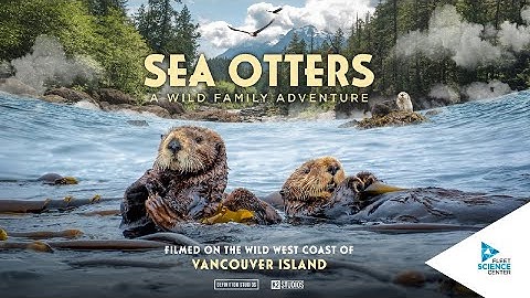Sea Otters: A Wild Family Adventure | Official Trailer