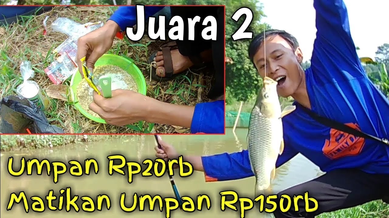 Umpan Ikan Mas Dadakan Bikin Umpan Sebelah Gak Berdaya!!!
