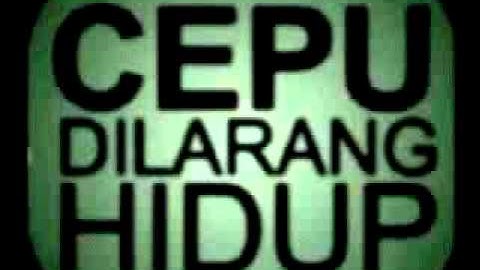band Paskal  Melodiy
