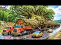 Extreme Dangerous Big Logging Wood Truck Driving Skill |Biggest Heavy Machinery Machines#8