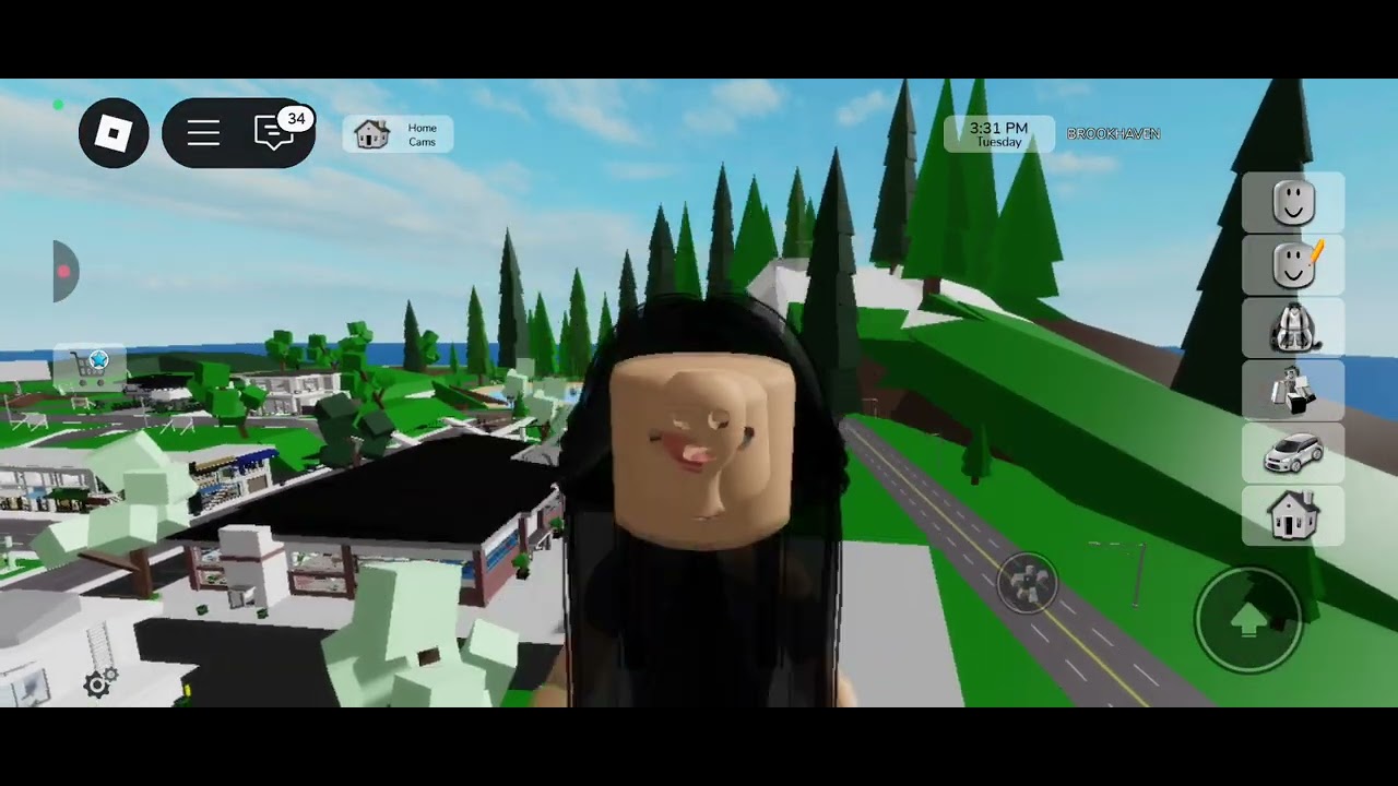 Kontrolisem Anastasiju 24h u brokhavenu!!!