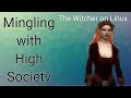 Switching girlfriends and making friends - The Witcher on Linux - part 12