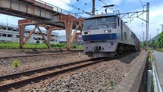 JR貨物 東海道貨物 EF210-169+コンテナ列車 大磯↔平塚間#貨物列車#EF210#コンテナ貨物