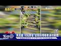 武功山爆椿象蟲害!遊客「張嘴就能吃飽」　南韓愛情蟲也現蹤｜TVBS新聞 @TVBSNEWS01