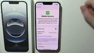 How to Turn On/Off WiFi Assist On iPhone (iOS) 2025 screenshot 5