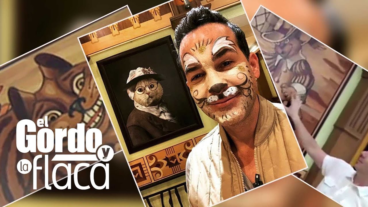 univision face Para amantes de los gatos: Carlos visitó la colección de estos felinos más grande del mundo | GYF