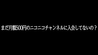 お得な情報満載の配信