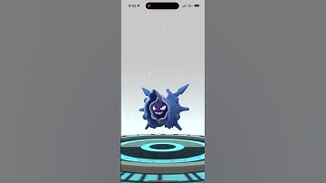 Evolving Shiny Shellder Into Shiny Cloyster In Pokémon Go